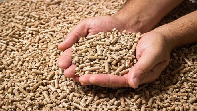 Biomass pellets